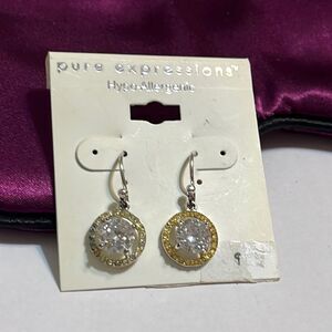 Pure expressions hypo-allergenic earrings